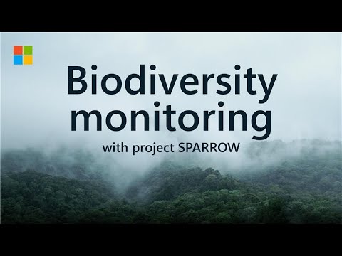 Introducing SPARROW: Harnessing AI to protect our planet’s biodiversity in the most remote places