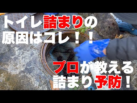 木が生えている家は要注意！根っこの詰まりはここをチェックすれば解決！！