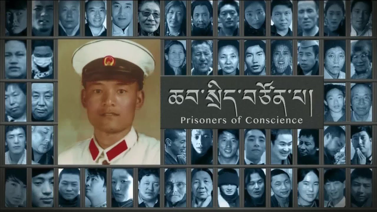 བོད་ཀྱི་ཆབ་སྲིད་བཙོན་པའི་ངོ་སྤྲོད། རྟ་མགྲིན་ཚེ་རིང་། Political Prisoner in Focus: Tamdin Tsering