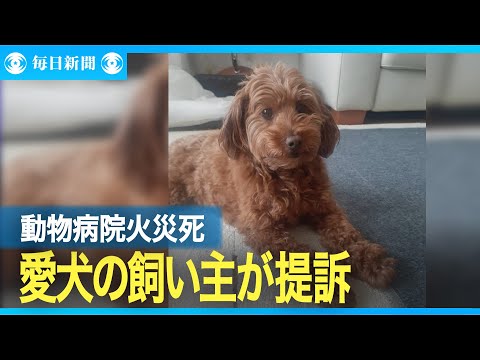 動物病院の火災で愛犬死ぬ　飼い主が300万円の賠償求め提訴　東京