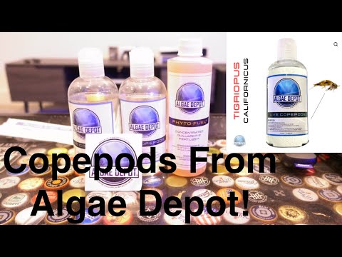 Unboxing Live Copepods From Algae Depot! Check out the new copepods from Algae Depot! Get your own at the site below.

https_//www.algaedepot