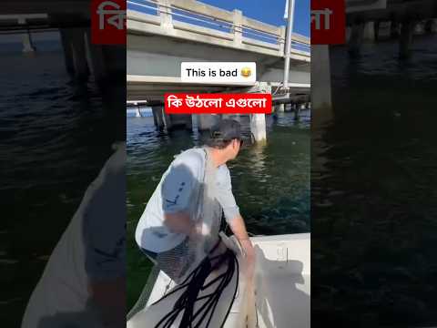 কি উঠলো এগুলো। #new #islam #islamic #islamicvideo #fishing #fish #fishingvideo #shorts #short #edms