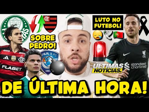 image para ilustrar o artigo