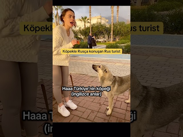 Rusça‘yı anlamayan ama İngilizce pörfek konuşan Türk köpeği ￼