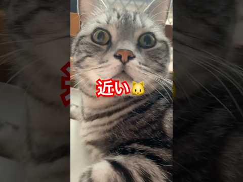thumbnail_x0zg0Jm728A