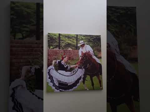 Video realizado por la propiedad