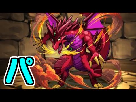 【生放送】深夜のコソパズドラ