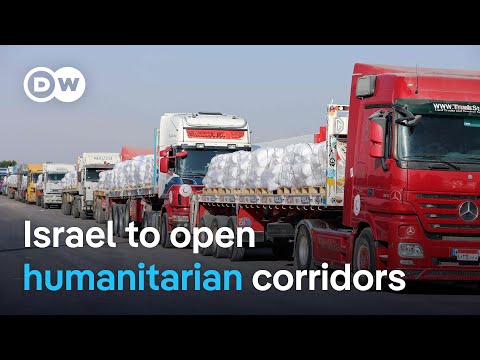 Israel allows more aid into Gaza amid reports of starvation | DW News