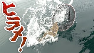 動画サムネイル