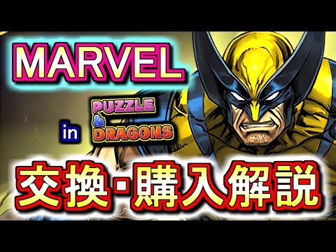 【迷っている方へ】MARVELコラボガチャキャラの交換・購入は必要か、徹底解説します。【パズドラ】