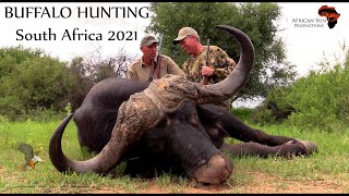 Buffalo hunting - South Africa. Join Chris and Mabula Pro Safaris in Limpopo Province