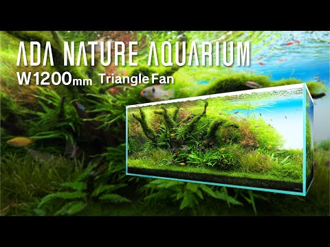 [ADAview] Triangle Fan  -W1200mm Nature Aquarium Layout-【EN/JP Sub.】