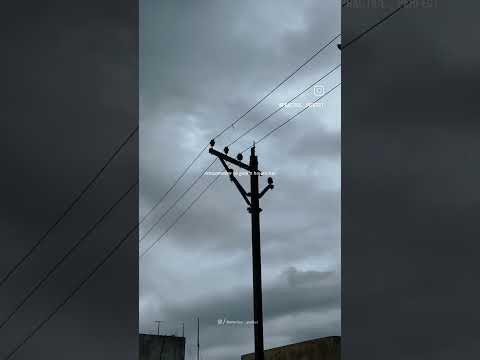 pehle wale keiye chod kr jana hamesha asan hota hai .#love #sad #relatable  #whatsaplovestatus