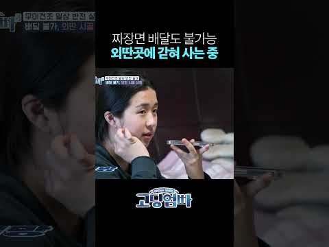 집 근처에 있는 거라곤 논, 밭, <strong>산이</strong> 전부 #shorts