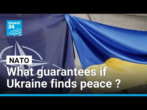 NATO weighs Ukraine security guarantees amid peace talks • FRANCE 24 English