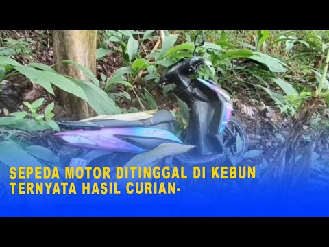 SEPEDA MOTOR DITINGGAL DI KEBUN TERNYATA HASIL CURIAN