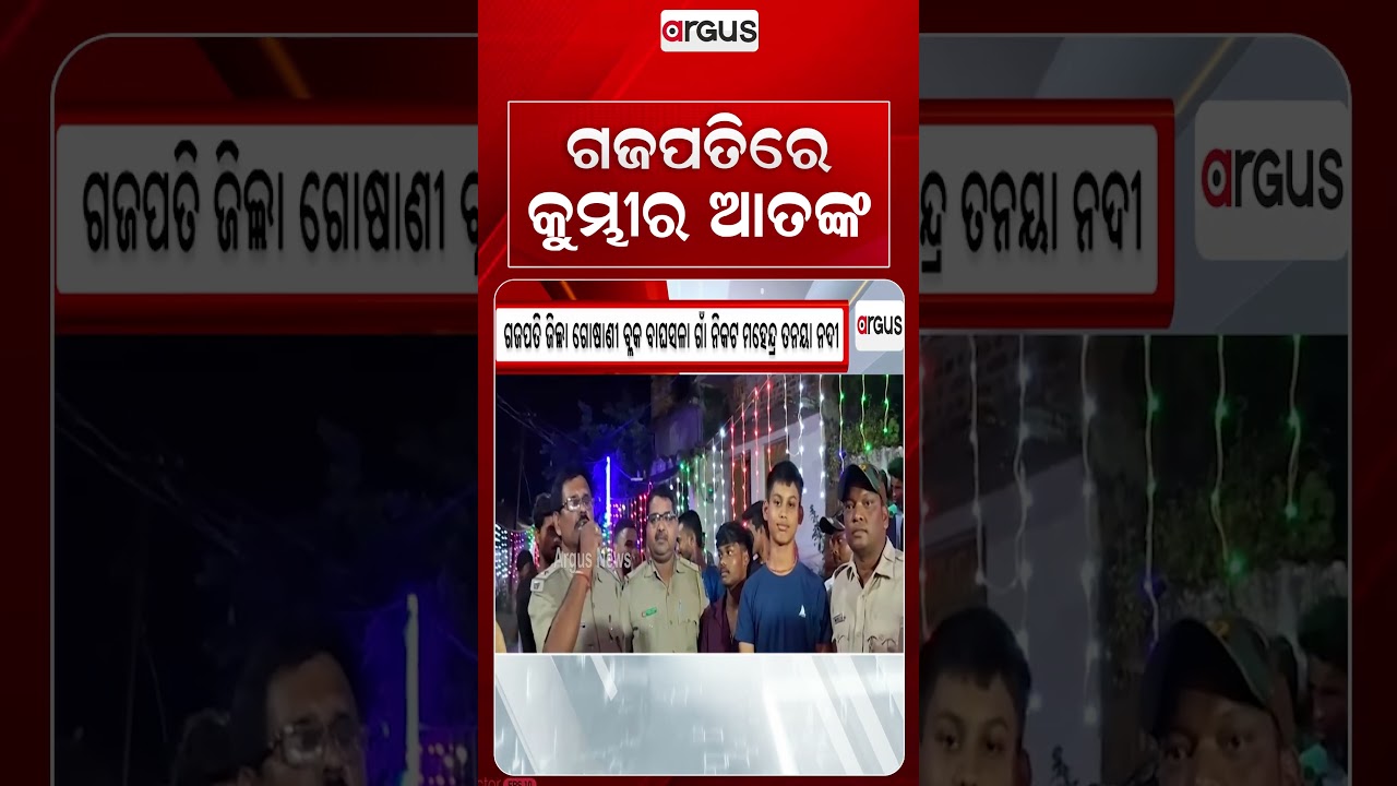 ଗଜପତିରେ କୁମ୍ଭୀର ଆତଙ୍କ | Crocodile Panic | Gajapati News | Crocodile Sighting | Argus News