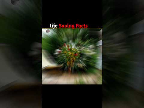 Life Saving Facts, Did you Know ?