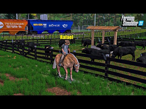 Fazenda simulada #23 | Trocando o gado de pasto | Manejo da raça Angus | Farming simulator 22