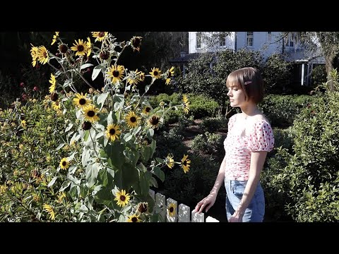 Botanical Garden お散歩