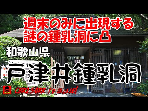 なぜか週末のみに出現する恐怖の鍾乳洞に突撃！