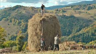 The Tough Life of Farmers, Hay Harvesting in Carpathian Inaccessible Mountains