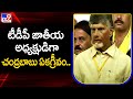 Chandrababu was unanimously elected as the National President of the TDP