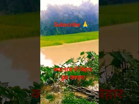 क्या सच में बिहार डूब जाएगा#viral #vlo#viral #nature #trending #shortvideos #viralvideo #shortsfeed
