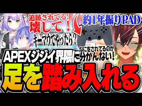 約１年ぶりにPADを握ってAPEXジジイ界隈に足を踏み入れるきなこ【Apex/エーペックス】のサムネイル