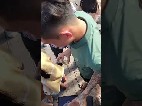 đám cưới miền Tây quá đỉnh bà con ơi