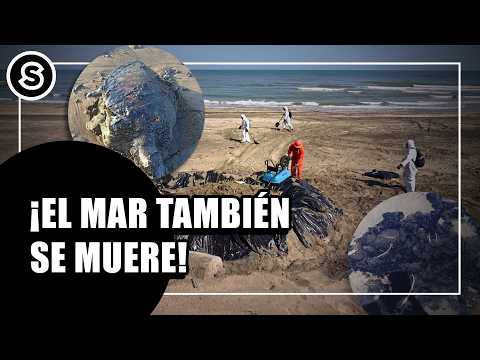 Pemex está MATANDO el Golfo de México: IMÁGENES SATELITALES exhiben el PELIGRO