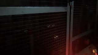Miniatura video