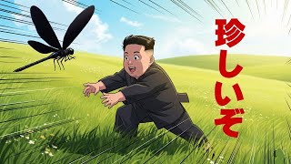 始めて見る珍しいトンボが物置で休憩していた！