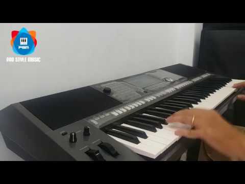 My Heart Will Go On - Cover with PSR S970