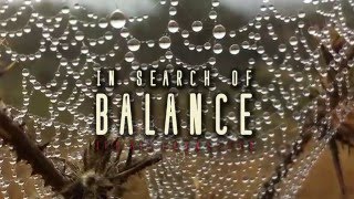 In Search of Balance - Official 
