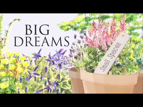 Big Dreams Small Spaces'