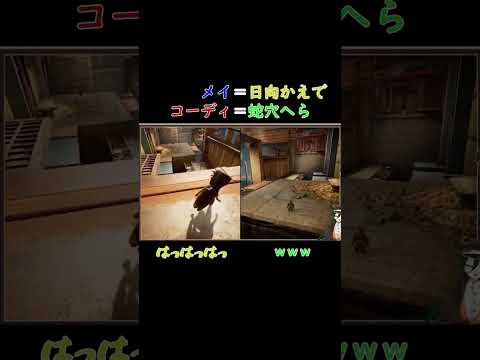 thumbnail_x5-PvrGzVrc