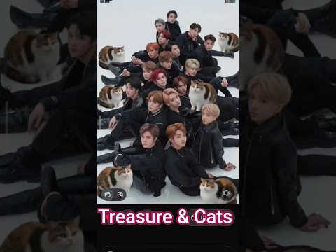 Treasure & cat #fypシ゚viral #tiktokvideo #viralvideos #indonesia #jakarta #kpop #treasure #cat #funny