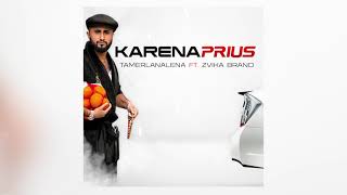 TamerlanAlena feat. Zvika Brand — Karena Prius