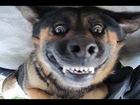 Нелепые моменты из порно28