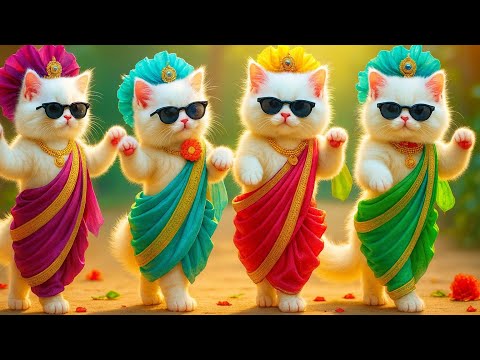 बिल्ली  डांस,💃| Cutest Cat videos funny dance 🤣 💃 Videos for cats #funny #dancingcat #cat #kitten