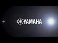 Профессиональная акустическая система Yamaha cерии HS