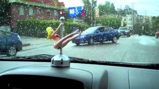 dashboard dancer