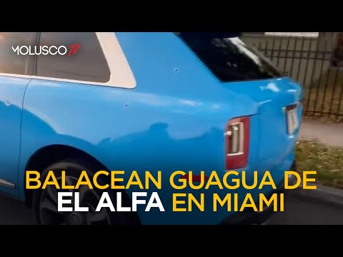 TIROTEAN GUAGUA DE EL ALFA EN MIAMI ( Aquí todo lo que debes saber )