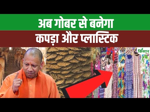 यूपी में गाय के गोबर से बनेगा कपड़ा और बायोप्लास्टिक, किसान के लिए बंपर कमाई का मौका। Cow Dung