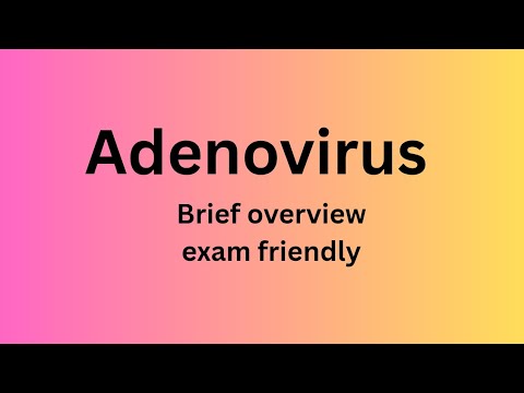 Adenovirus  ||  Quick overview and Exam friendly.