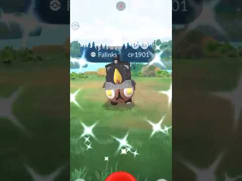 ホビーの動画サムネイル - ✨I Got a RARE BACK TO BACK SHINY Pokemon At Go Fest In Pokemon Go!✨ #shorts #pokemon