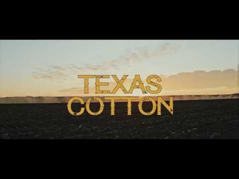 Texas Cotton'