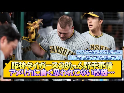 阪神タイガースの助っ人野手事情 アメリカに良く思われてない模様…【なんJ/2ch/5ch/ネット 反応 まとめ/阪神タイガース/岡田監督】