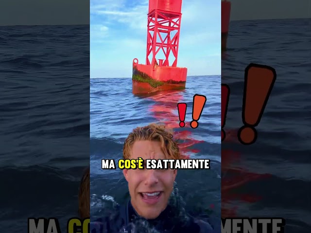 Pericolo in mezzo al mare😨